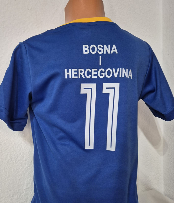 Dres Bosna i Heregovinasa ledja