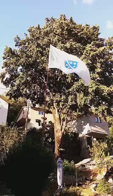 Zastava RBIH na kolju se viori