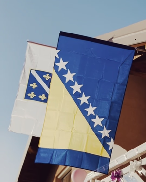 Zastava Bosne i Hercegovine i zastava Ljiljana