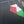 proizvodnja duksa Palestina
